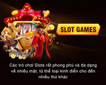 Bảo mật dữ liệu ribbet win